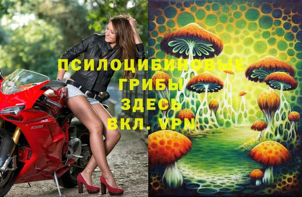 соль ск Алексеевка