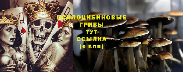 таблы Алзамай