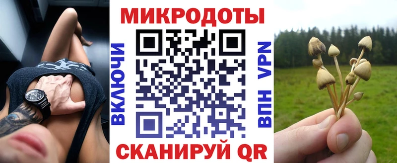 Псилоцибиновые грибы Psilocybine cubensis Рошаль